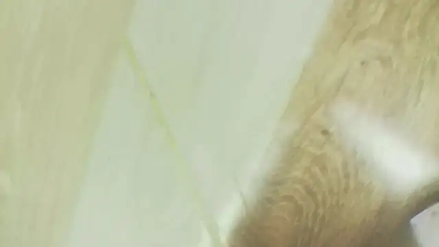Karol_stom - PLUG MY ASS