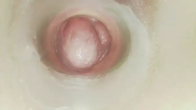 Karol_stom - PLUG MY ASS