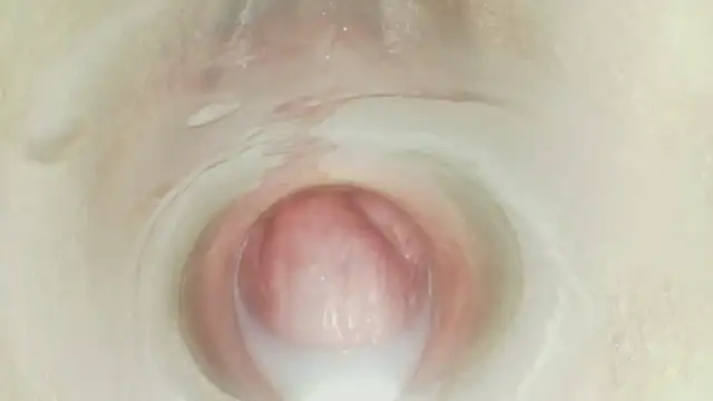 Karol_stom - PLUG MY ASS