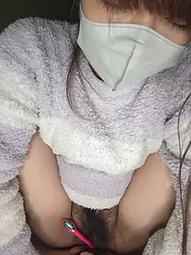 PINO_pino_01