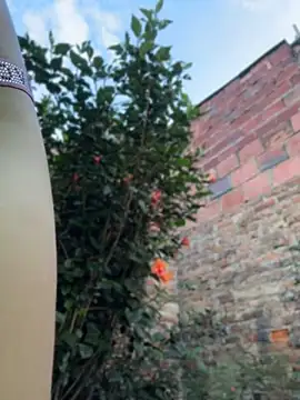 Celestee_gv - Naked outdoors😈