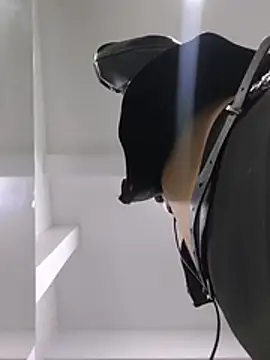 Taaylor33 - Plug anal in doggy