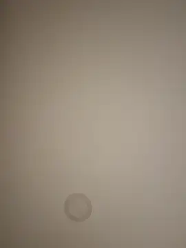 Curchez_ - Ride dildo