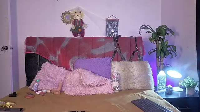 Aishaheart - YOUR NAME IN TITS