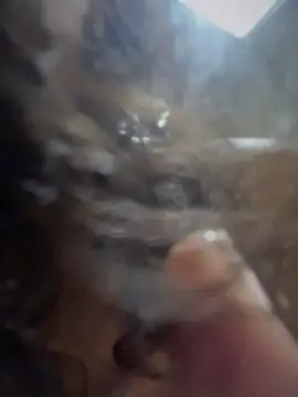 SweetCheeksXXX - BIG SQUIRT OVER UR DICK