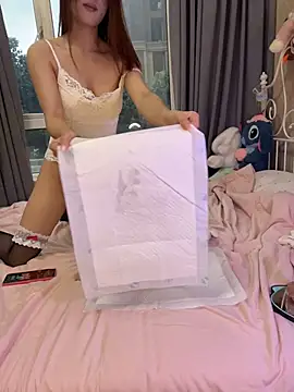 Baobao-3344 - 裙底视角看骚逼