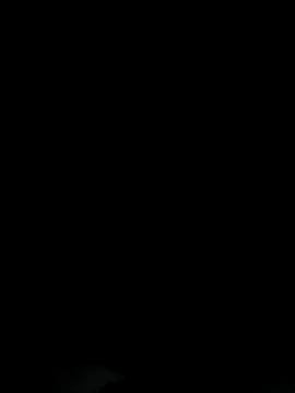 Bakedroll333