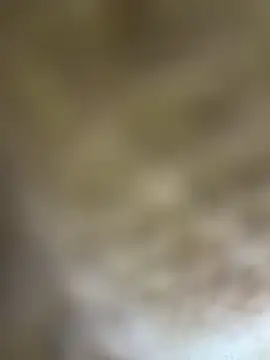 MiraReach - Make my pussy wet 💦