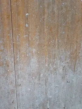 MeeraCouple