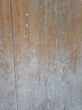 MeeraCouple