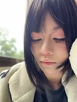 MeimoDog