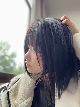 MeimoDog