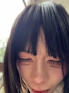 MeimoDog