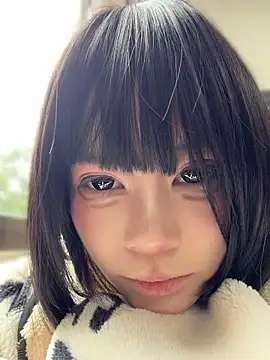 MeimoDog