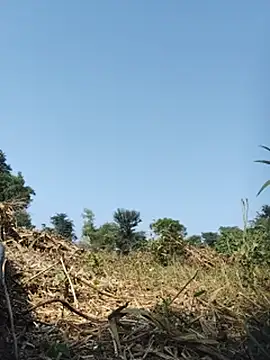 Sikha_varma - Desi bhabhi