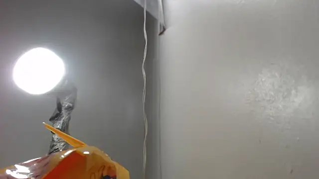 Kitty_Mifl - A CAN IN MY PUSSY