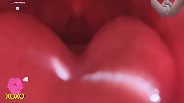 XTXT-bb - 😸PM/私信（聊骚色情永久好友）