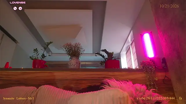 Vse_sukki - anal plug