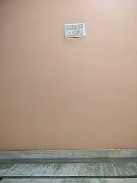 Anna_gougeous - Dildo Fuck in public