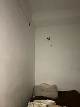 Brianna_bunny05