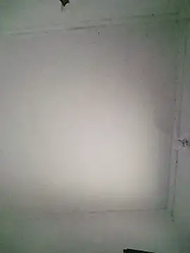 Ass_open11
