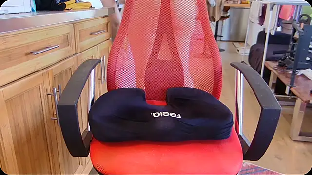 Lisa_Sack - LT 2 Videos