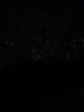 Xx_priti - Ass show