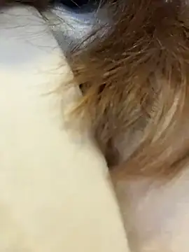KristiRich - Show pussy😻