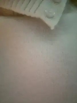 Huihui_520