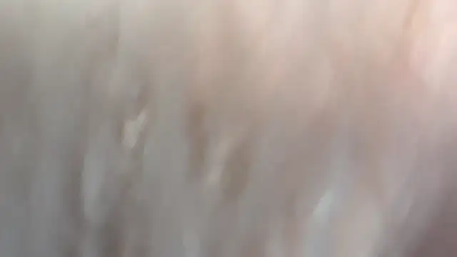 Blairbella - all my vids to lst trp worth 5000tkns