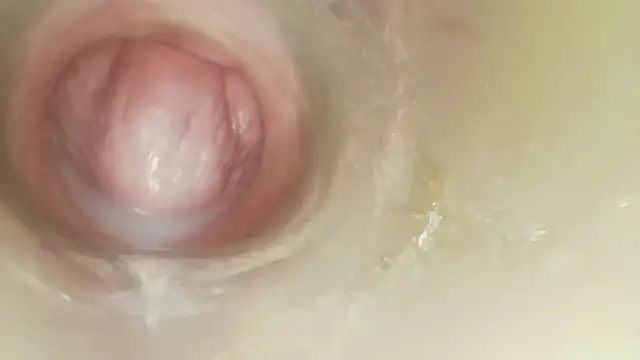 Karol_stom - PLUG IN ASS
