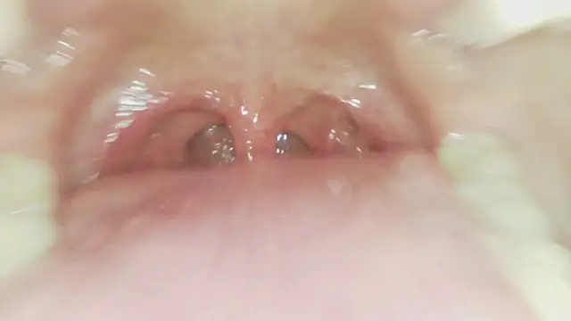 Karol_stom - PLUG IN ASS