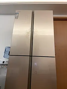 Zhizhi03