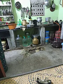 Tamilselviroja- - 🥰 full body oil massage 😍