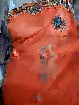 Shanjidas