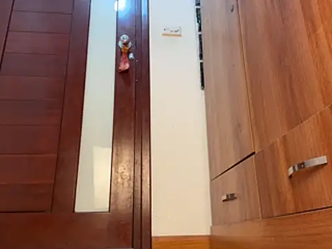 Pam_Rabbit - Love Pam 🥰