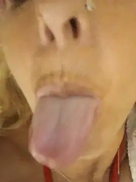 ShayFox - Massage your hot Boobs for 2 Min 🍒