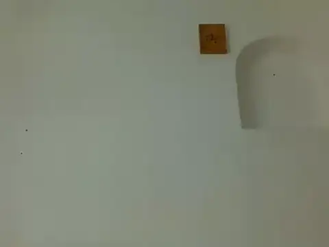 Jiggle_assie