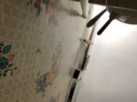 Badfox5000 - Pussy zoom lt🎁 💝