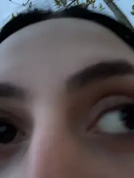 Soceciliaok