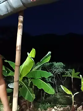 Esmeralda_li - Vibración con lengua por todo el cuerpo
