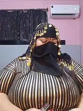 Egypt_monmon - صناعي في كسي