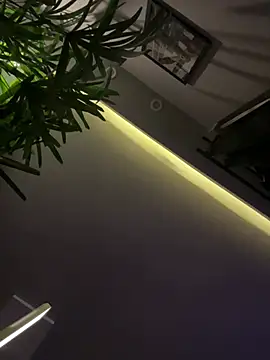 Dinexzsummer - fingery pussy +1 min control toy