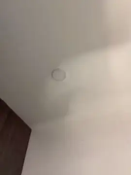 Valeria2019hot - lots of foam on my tits