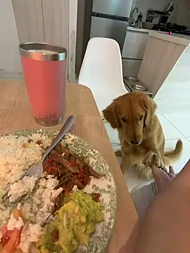 Carososo_