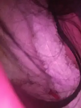Hottiesophie - Corrida
