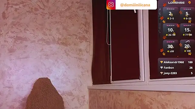 Domiiiniiicana - Sit on your face (Move the cam