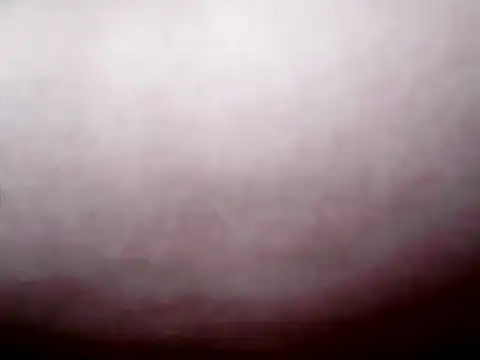 Hottestsexxy_Elynnn