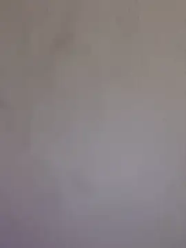 Lara_petit