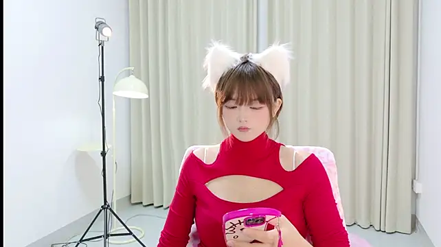Lazycats-01 - 情趣换装+low版脱衣